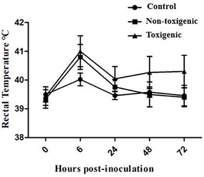 Comparison of Host Cytokine Response in Piglets Infected With Toxigenic and Non-toxigenic Staphylococcus hyicus